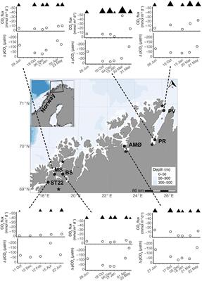 Drivers of Atmosphere-Ocean CO2 Flux in Northern Norwegian Fjords